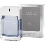 Signature Gray EDT 100ml