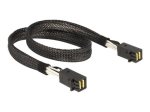 DeLOCK Serial Attached SCSI (SAS) sisemine kaabel 50cm
