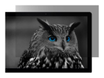 NATEC Privaatsusfilter Owl 27-tolline 16:9