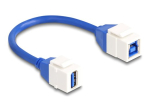 Delock USB-kaabel 20cm Sinine Valge