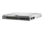 HPE Virtual Connect Flex-10/10D Moodul