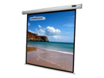 Celexon Economy electric screen 130