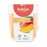 Bolsius True Scents l&otilde;hnak&uuml;&uuml;nal 97x85mm Mango