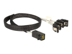 DeLOCK 50cm SATA/SAS-kaabel must