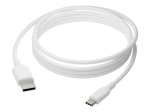 dbramante1928 laetav USB Type-C kaabel 2,5m valge