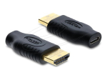 Delock Sort Video Adapter