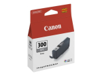 Canon PFI 300 hall tindipudel 4200C001