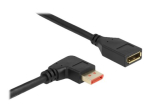 Delock 2m DisplayPort pikenduskaabel must
