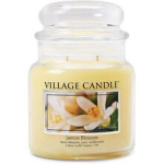 Leimonadi&otilde;itse k&uuml;&uuml;nelampp 602,0g