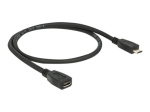 Delock 50cm USB pikenduskaabel