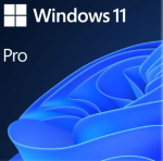 Windows 11 Pro 64-bit inglise OS DVD OEM
