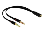 DeLOCK peamiselt kohandatud adapter, 20cm