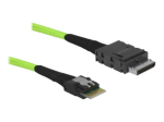 DeLOCK 50cm Roheline OCuLink SAS Sisese Juhtme