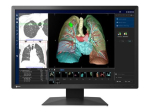 EIZO RadiForce MX243W-BK 24 IPS 1920 x 1200 (WUXGA) DVI DisplayPort 61Hz Monitor