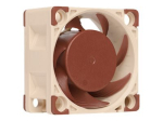 Noctua NF-A4x20 PWM Ventilaator 1-komplekt Beige Pruun 40 mm