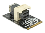 DeLOCK M.2 Key M to SFF-8643 NVMe horisontaalne 2242 liidese adapter