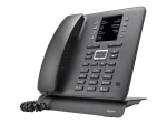 Gigaset T480HX
