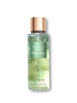 Victoria's Secret Pear Glace BOL W 236 ml