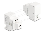 Delock Keystone PD 20W 1 USB-C Snap-in Moodul Valge