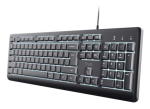 Trust Primo Keyboard Beleuchtete Home/Office USB QWERTY US English Black