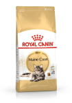 Royal Canin FBN Maine Coon Adult - t&auml;iskasvanud kasside kuivtoit - 4kg