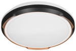 Activejet AJE-PETRUS 24W LED laelamp