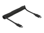 DeLock otse&uuml;henduse adapter USB-C 3.1 Gen 2 10Gbps kaabli jaoks