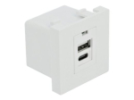 Delock Easy 45 USB pistikupesa 1 moodul valge, RAL 9003