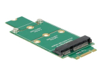 DeLOCK Adapter mSATA to M.2 NGFF Storage Controller