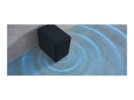 Sony SA-SW5 Black Subwoofer