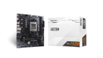 BIOSTAR A620MT-E 2.0 emaplaat