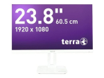 TERRA LCD/LED 2465W PV 23.8 Inch 100Hz Full HD (1920 x 1080) Monitor with HDMI, DisplayPort, USB-C