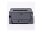 Brother HL-L2400DW Must-valge laserprinter