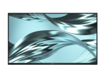 Dell Pro P P2426H 24-tolline IPS Full HD HDMI DisplayPort 120Hz