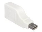 Delock DisplayPort Adapter Valge