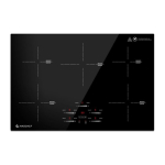 AMZCHEF CE-FS-I95S-GFFDD0 5-tsooniline indukpliit