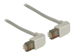 DeLOCK CAT 5e varjestatud fooliumi ja vasekattega kaabel (SFTP 2m hall paigalduskaabel)
