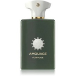 Purpose EDP 100ml