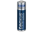 tecxus Mignon AA Type Standard Batteries