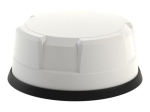 Sierra Wireless AirLink antenn 8cm valge