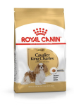 Koera toit Royal Canin SHN t&otilde;ug Cavalier K C 1,5 kg