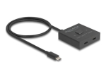 DeLock 2-portiline USB videolahutaja