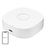 Nutikas kodu WS2GW-R WiFi