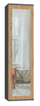 Topeshop DUO SZAFA ANT/ART KP magamistoa riidekapp/kapp 2 riiulit 1 uks(e)d