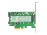 DeLOCK PCI Express kaard > 3 x M.2 Sloti salvestamise kontrolli