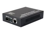LevelOne GVT-0500 Kiudoptilise Media Konverter 10 Gigabit Ethernet
