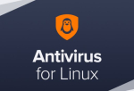 Avast Business Antivirus for Linux, New electronic licence, 3 year, volume 1-4, 3 year, 4 user