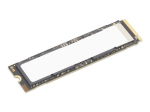 Lenovo 4TB M.2 NVMe SSD (PCI Express 5.0)