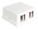 Delock Keystone Pinnapealne Kast, Valge