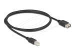 Delock USB kaabel 1m must